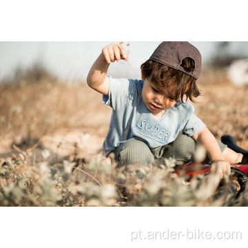 Bicicleta de equilíbrio infantil de liga de 12 polegadas